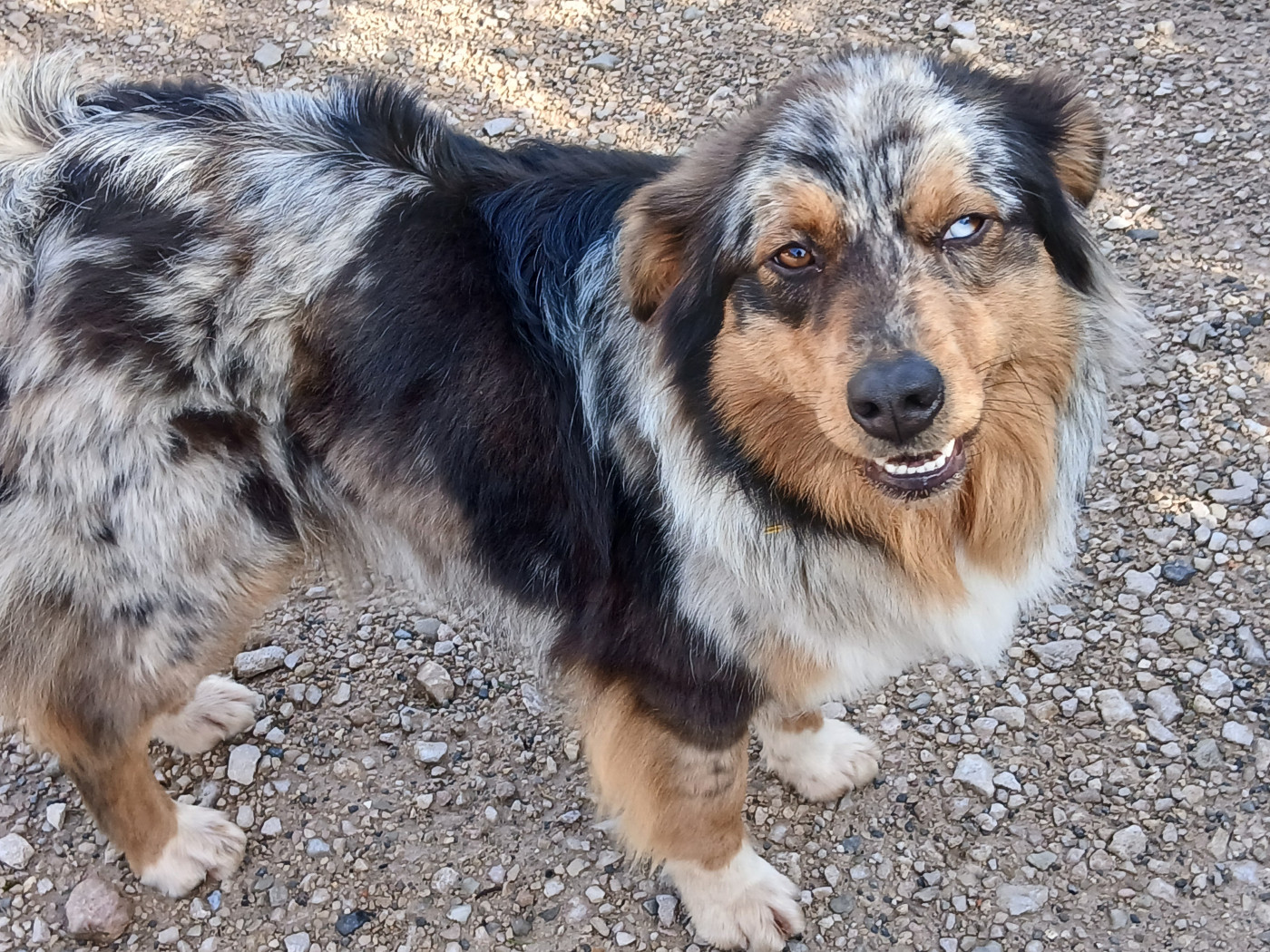 Confirmation de Voxie